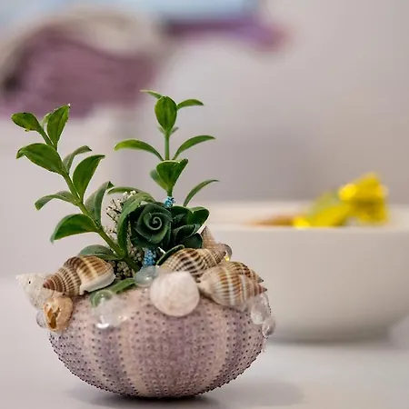 Split Accommodation بيت ضيافة