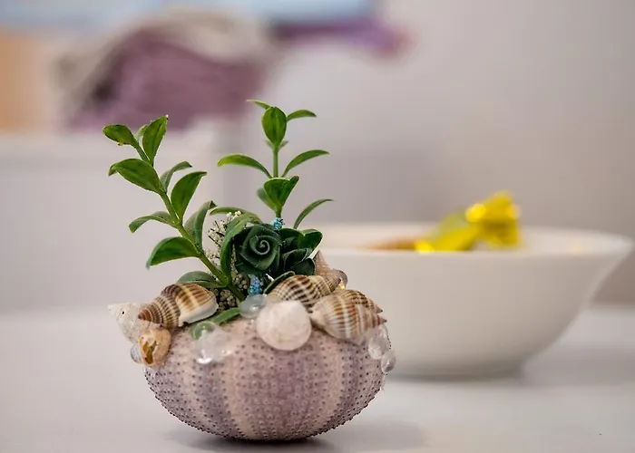 Split Accommodation بيت ضيافة