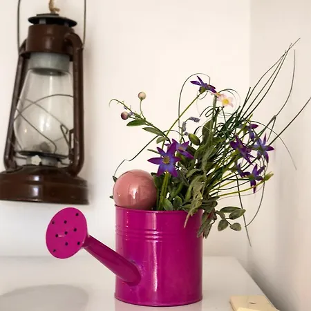 בית הארחה Split Accommodation 3*